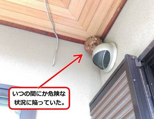 8月21日スズメバチ