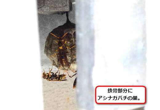 アシナガバチ巣鉄骨