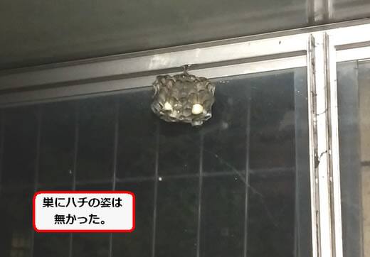 物置の中アシナガバチの巣