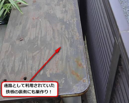 アシナガバチ駆除通路鉄板