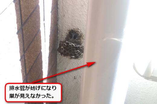 ベランダ壁面蜂の巣
