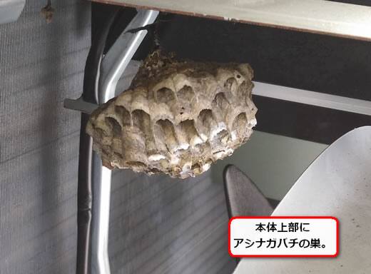 アシナガバチの巣室外機の中