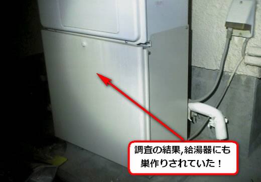 アシナガバチ駆除給湯器