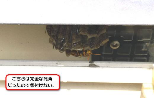 アシナガバチの巣駆除軒