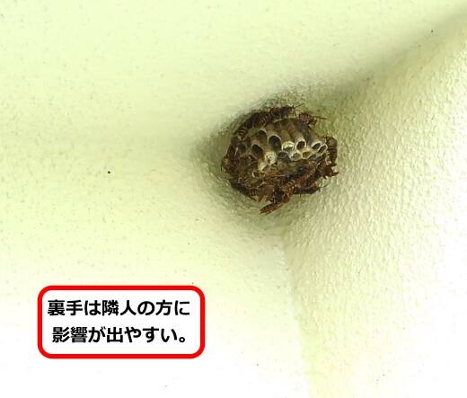 一階軒蜂の巣