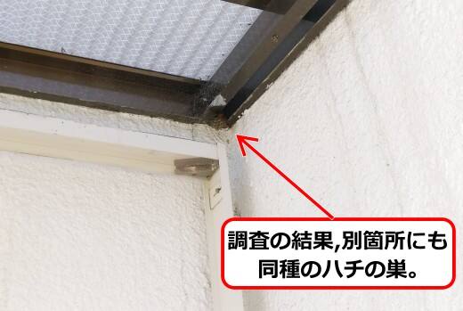 裏手屋根蜂の巣