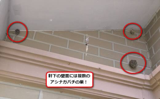 アシナガバチの巣駆除軒下
