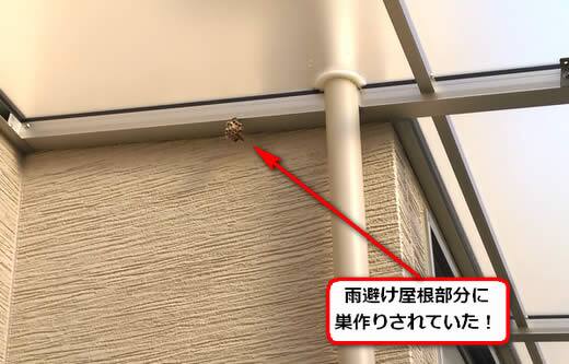 アシナガバチ駆除雨避け屋根