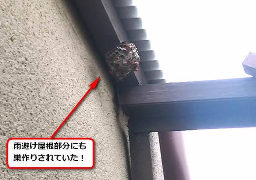 アシナガバチ駆除雨避け屋根