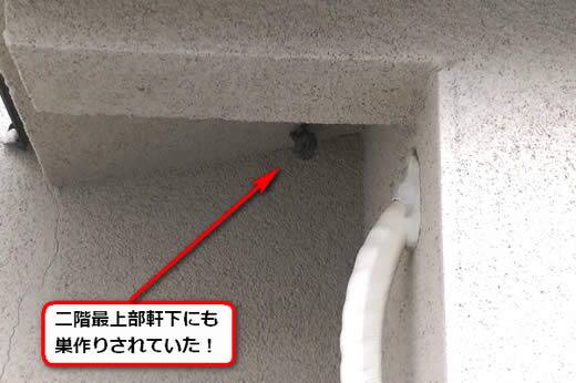 アシナガバチの巣駆除軒下