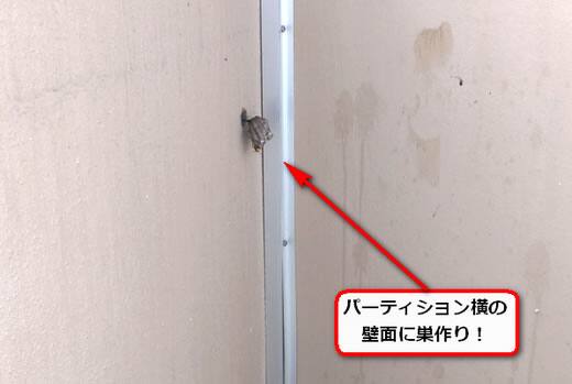 アシナガバチ駆除アパート