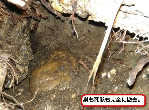 オオスズメバチ巣完全撤去