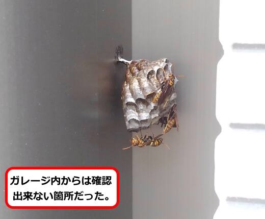ガレージ蜂の巣