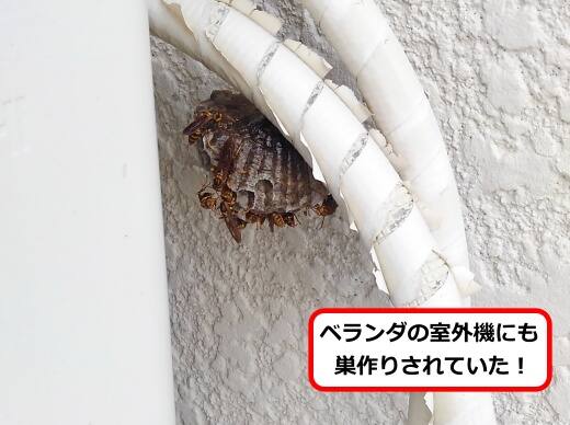 室外機配管蜂の巣