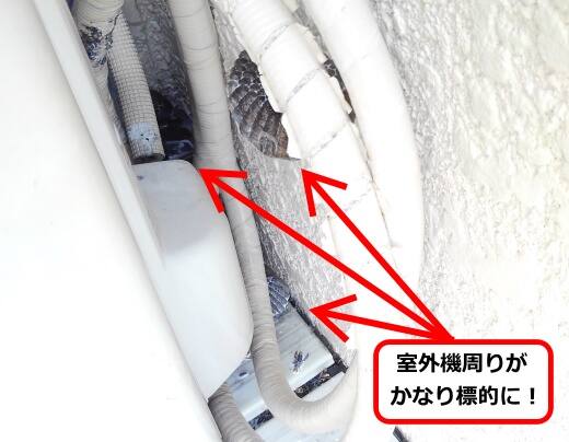 室外機多数蜂の巣
