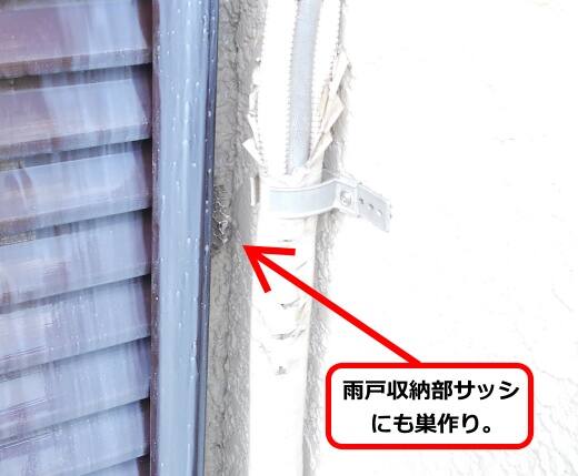雨戸サッシ蜂の巣