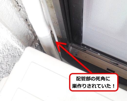 室外機蜂の巣