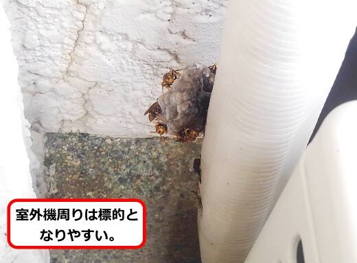 配管部蜂の巣