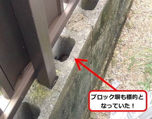 ブロック塀蜂の巣