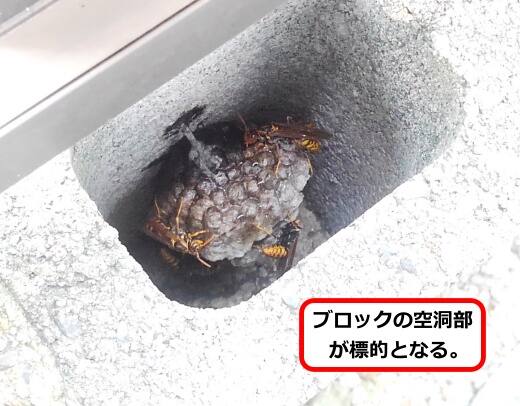 ブロック蜂の巣