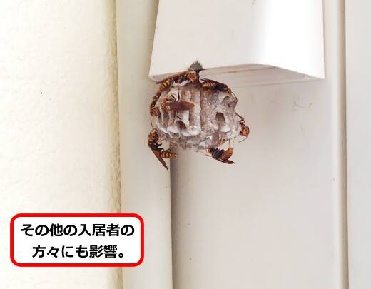 共用廊下蜂の巣