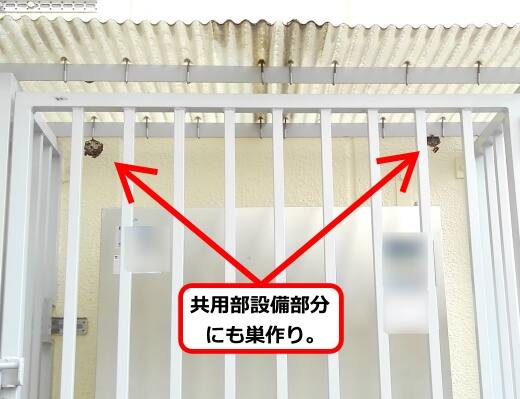 共用部設備蜂の巣