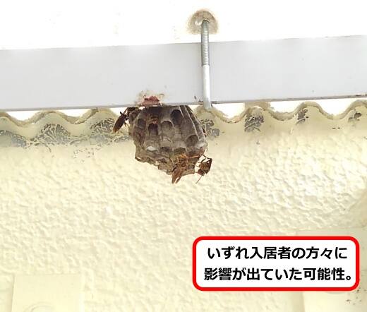 共用部設備蜂の巣
