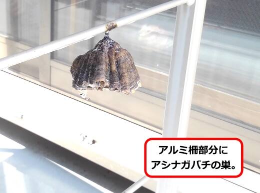 アルミ柵蜂の巣