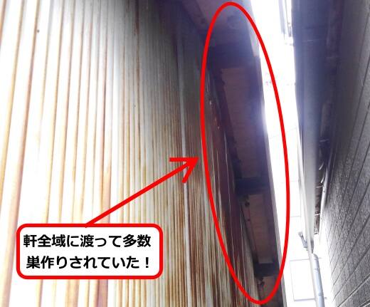空き家軒蜂の巣