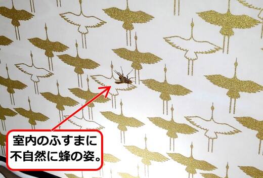 3月30日ハチ駆除調査