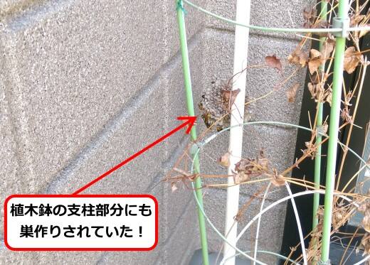 植木鉢支柱蜂の巣