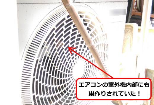 エアコン室外機蜂の巣