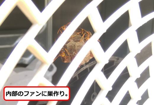 室外機内部蜂の巣