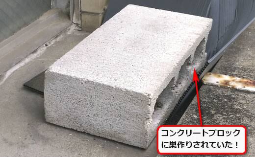 蜂の巣コンクリートブロック