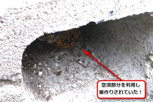 蜂の巣ブロック空洞部