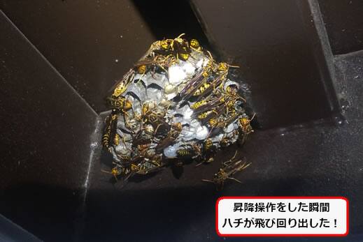 アシナガバチ立体駐車場