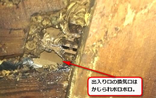 換気口ボロボロ