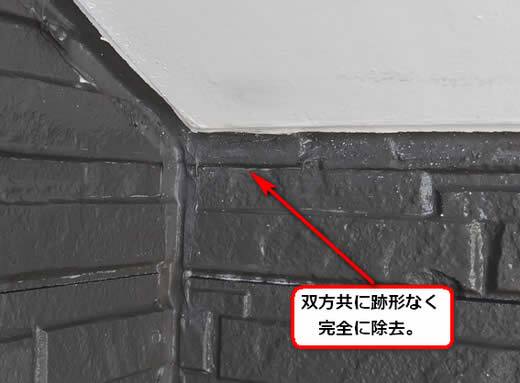 アシナガバチの巣完全除去