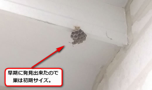 高所軒ハチの巣
