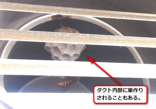 ダクト内部蜂の巣