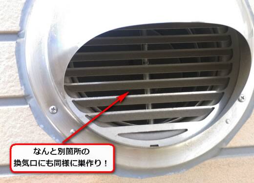 外壁換気口内部