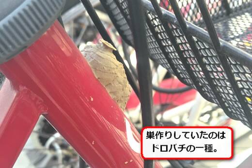 自転車ドロバチ巣