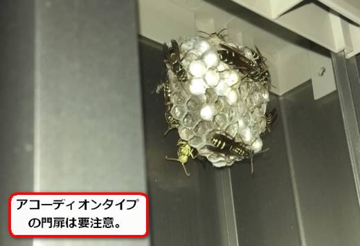 アコーディオン門扉蜂の巣