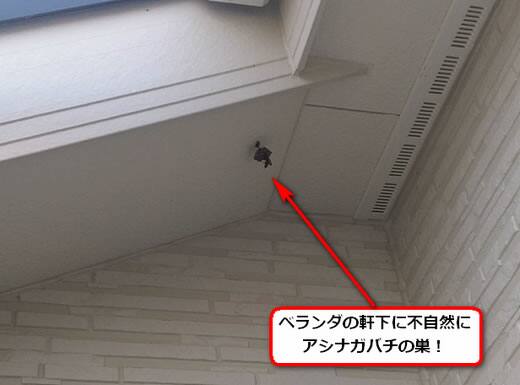 アシナガバチ駆除ベランダ