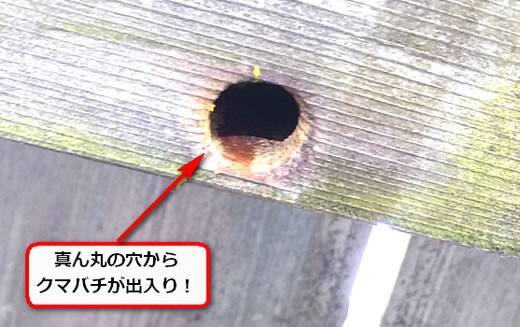ウッドデッキクマバチ穴
