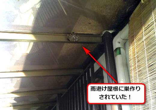 アシナガバチ駆除雨避け屋根