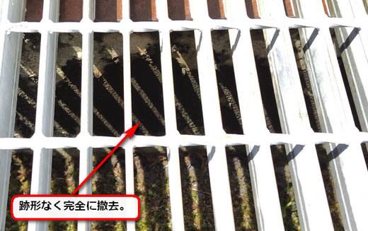 アシナガバチの巣完全除去