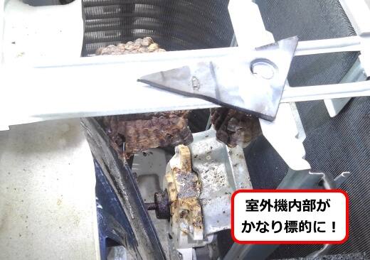 室外機内部蜂の巣