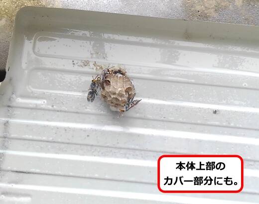 室外機カバー蜂の巣