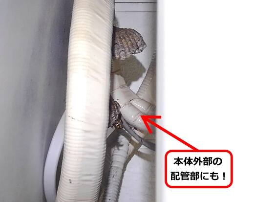 室外機背面蜂の巣